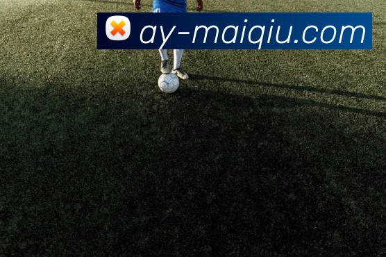 体育投注平台平台生态图