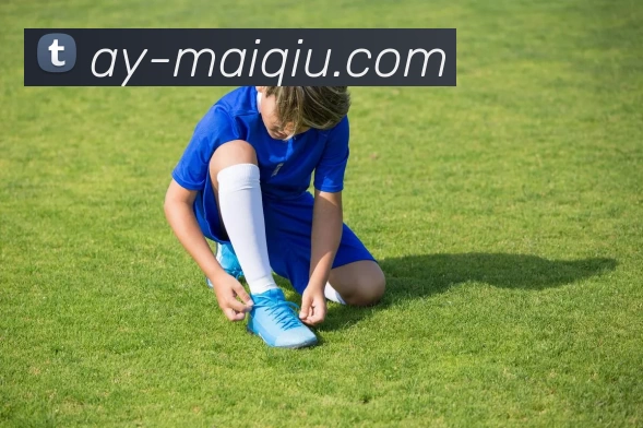 体育投注平台全站App